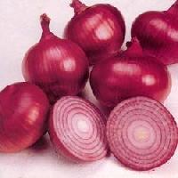 Fresh Red Onion