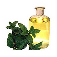 Mentha Oil