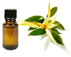 Neem Oil