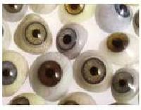 Cosmetic Shells - Artificial Eye