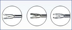 Vitrectomy Forceps