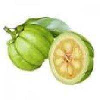 Garcinia Cambogia Extract