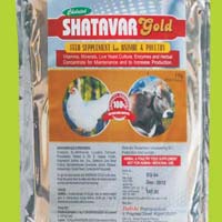 Shatavar Gold Powder