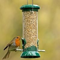 Bird Feeder