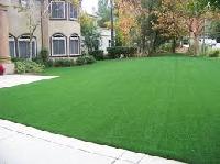 Artificial Lawn