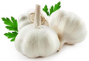 Fresh Garlic