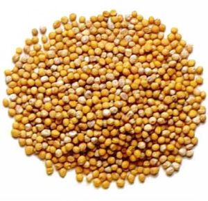 Yellow Mustard Seeds