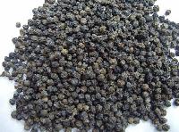 Black Pepper Seeds