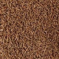 Cumin Seeds