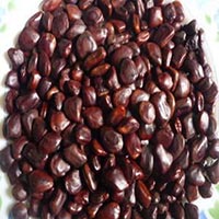 Tamarind Seed