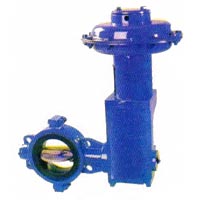 Butterfly Valves