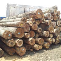 Pine Wood Logs