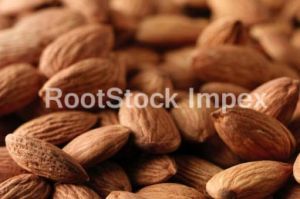 Almond Kernels