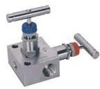 2 Way Manifold Valves