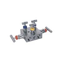 5 Way Manifold Valves