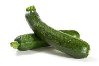 Green Zucchini