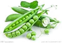 Snow Peas