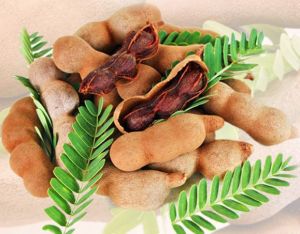 Tamarind Kernels