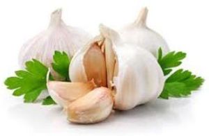 Fresh Garlic