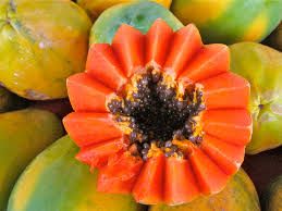 Fresh Indian Sweet Papaya