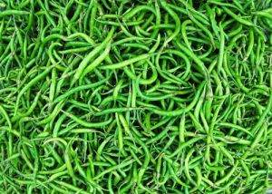 Fresh Green Chilli