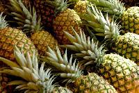 Fresh Pineapple