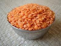 Masoor Dal