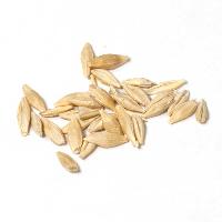 wheat grain seeds