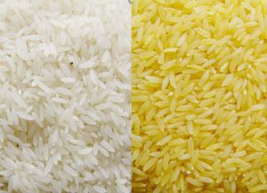 Indian Rice