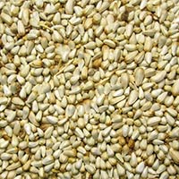 Safflower Seed