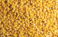 yellow split lentil