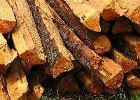 Fire Wood