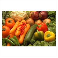 Fresh Vegetables