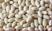 Blanched Peanuts