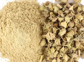 Tribulus Terrestris Extract