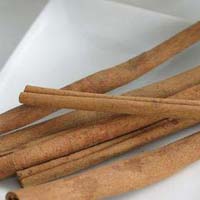 Dried Cinnamon Bark