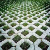 Grass Concrete Paver