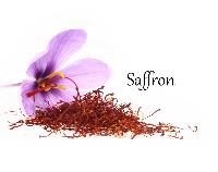 Saffron-crocus Sativus