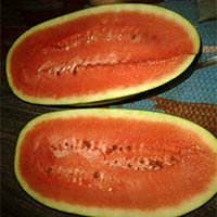 Fresh Watermelon