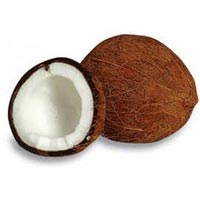 Coconut