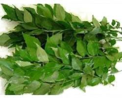 Fresh Curry Leaves