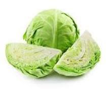 Fresh Green Cabbage