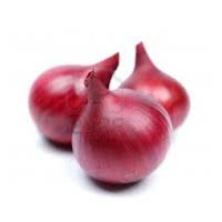 Onion