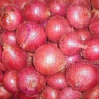 Red Onion