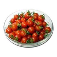 Fresh Cherry Tomato