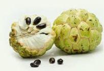 Custard Apple