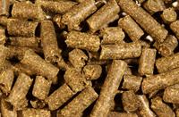 Animal Feed Pellets