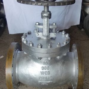 Globe Valves