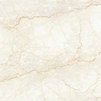 Digital Vitrified Floor Tile (600x600)