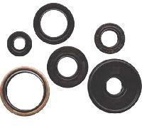 Oil seal kit